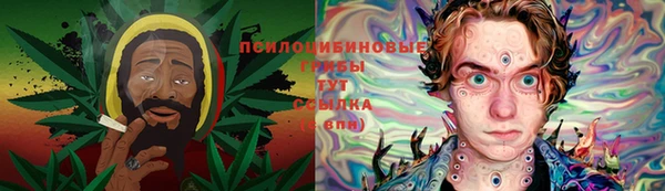 СК Алексеевка