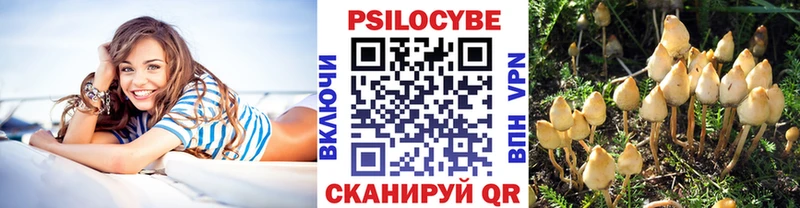 Псилоцибиновые грибы Psilocybe shop наркотические препараты Козловка купить наркоту